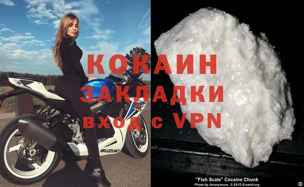 гашик Белокуриха