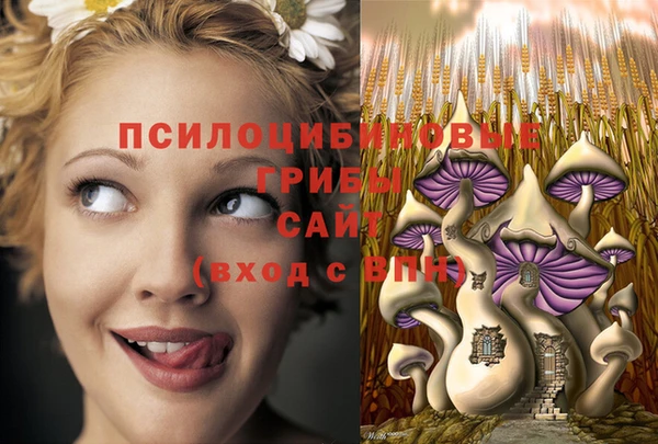 соль ск Балахна
