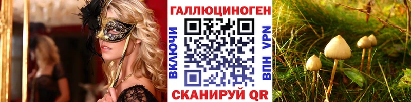 как найти закладки  Вяземский  Галлюциногенные грибы MAGIC MUSHROOMS 