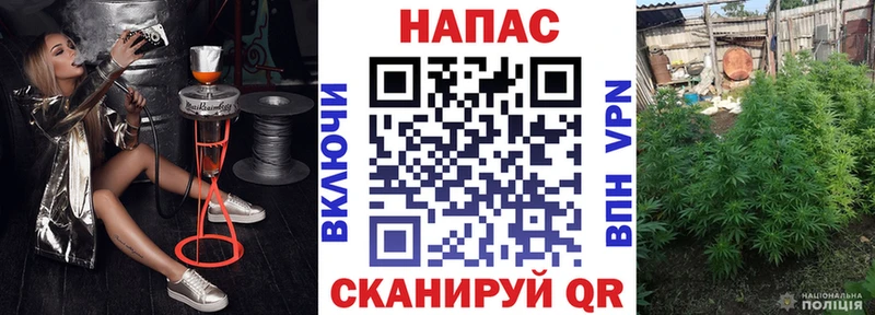 Конопля Bruce Banner  Вяземский 